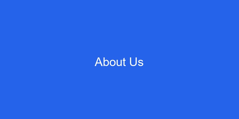 Team working on digital marketing